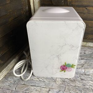 Mini Fridge 4L Or 6 Cans Skincare Cosmetics Makeup Refrigerator AC/DC Portable